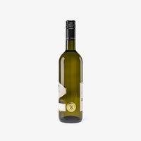 2024 Würzer Qualitätswein feinherb